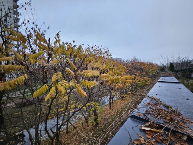 Mieszkanie 2-pokojowe Warszawa Praga-Południe, al. Armii Krajowej. Zdjęcie 9