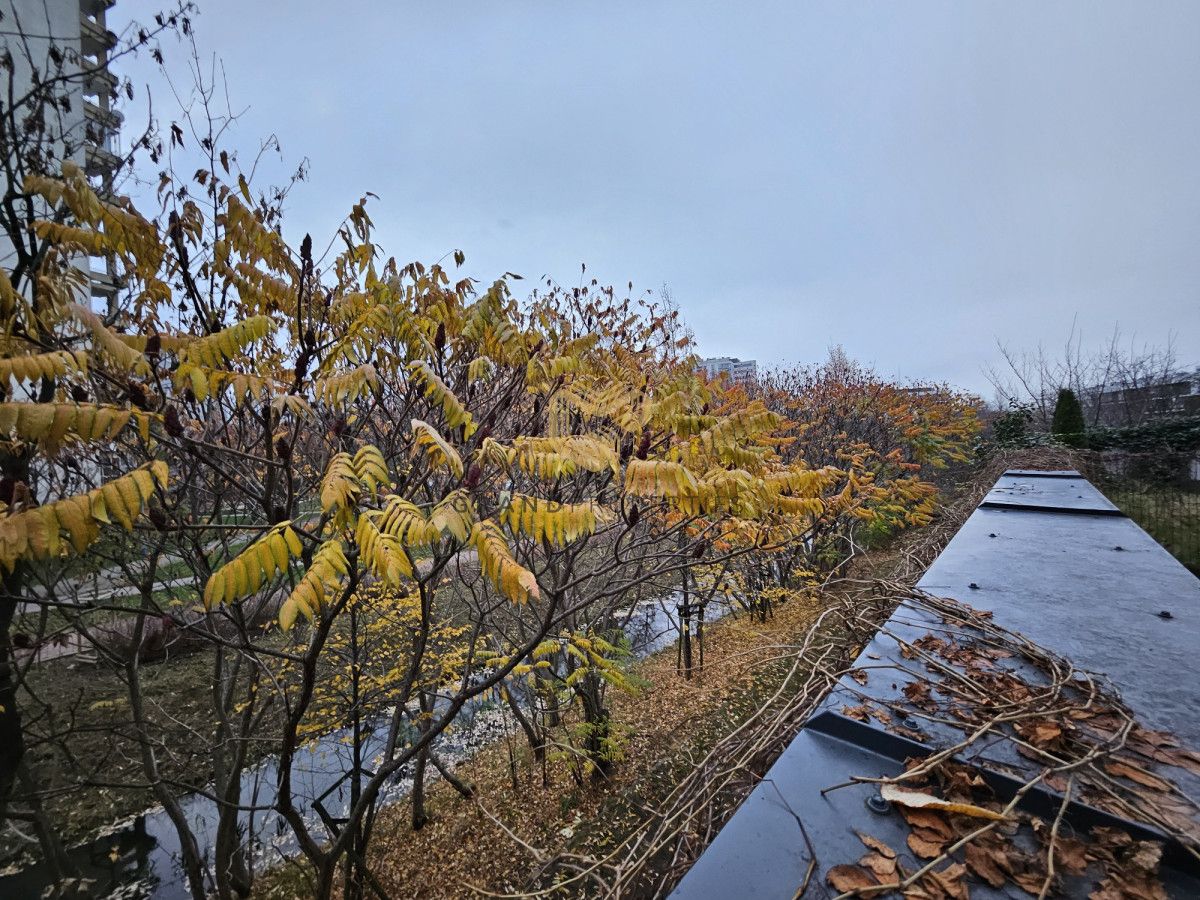 Mieszkanie 2-pokojowe Warszawa Praga-Południe, al. Armii Krajowej. Zdjęcie 9