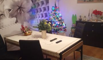 dom wolnostojący, 6 pokoi Częstochowa Lisiniec