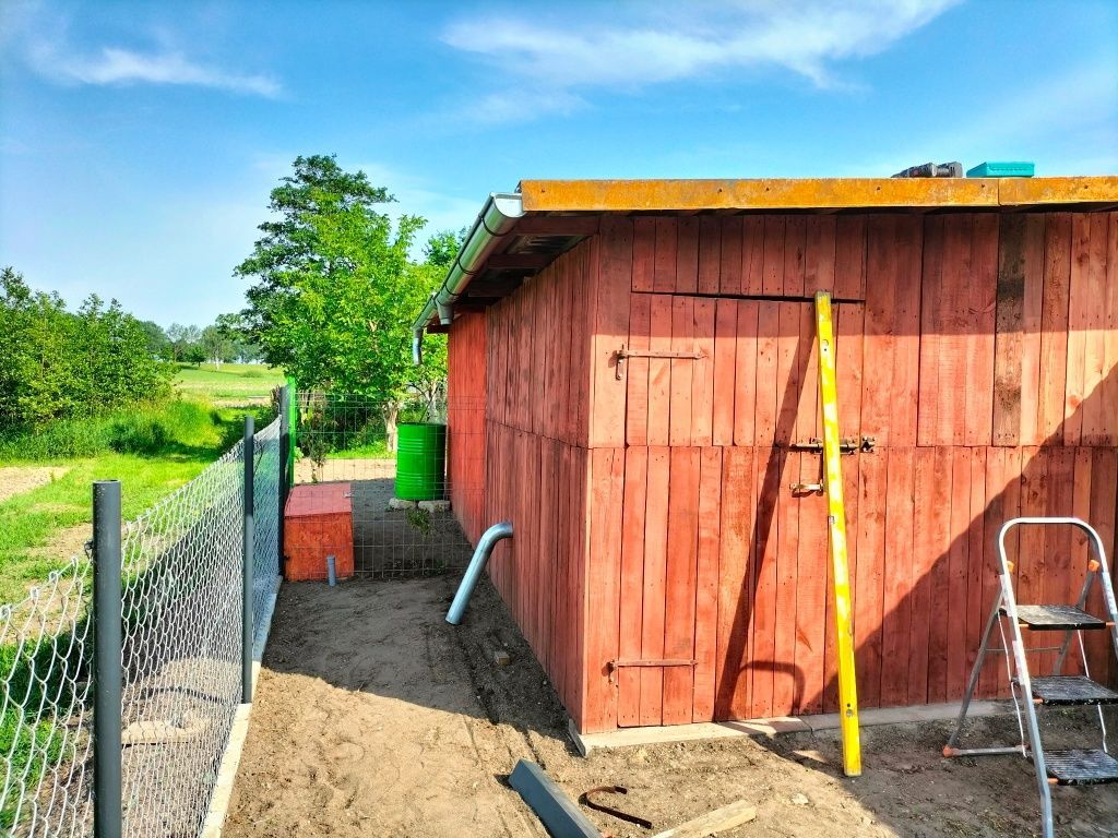 bliźniak Markławka. Zdjęcie 4