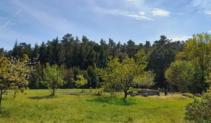 Działka inwestycyjna Maszewo Duże, ul. Łączna