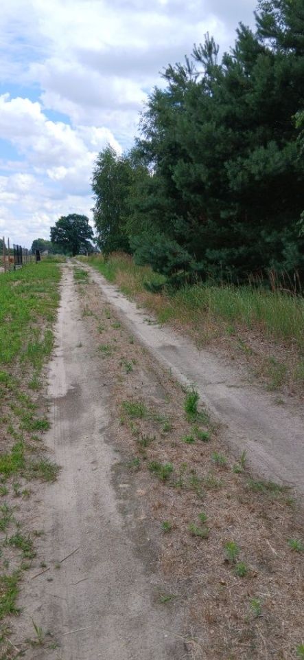 Działka budowlana Jadwinów. Zdjęcie 6