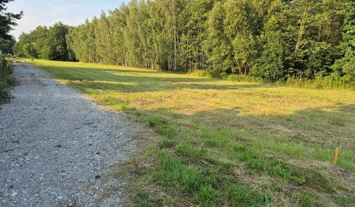 Działka rolno-budowlana Chrzęsne, ul. Platynowa