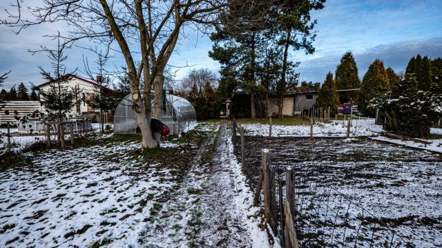 Działka rekreacyjna Bytom, ul. Dworska. Zdjęcie 1