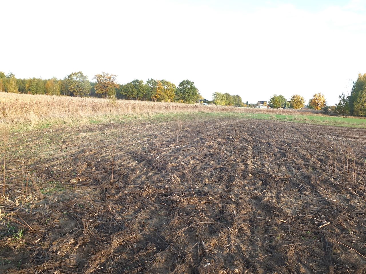 Działka budowlana Janów Ruszki. Zdjęcie 8