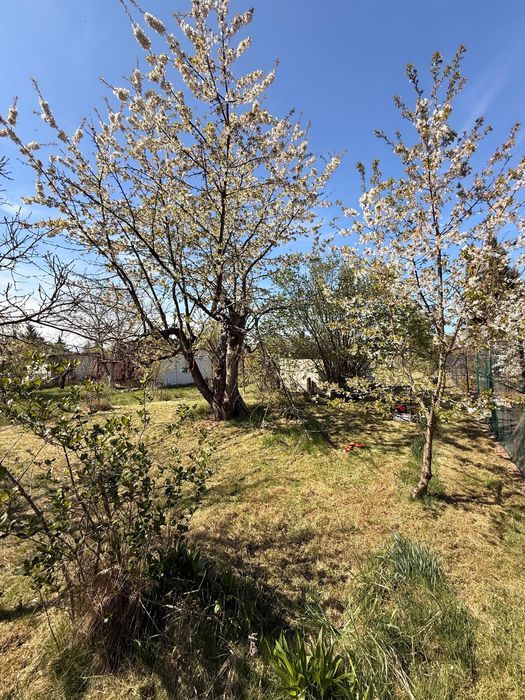 Działka rod Wrocław Stabłowice. Zdjęcie 5