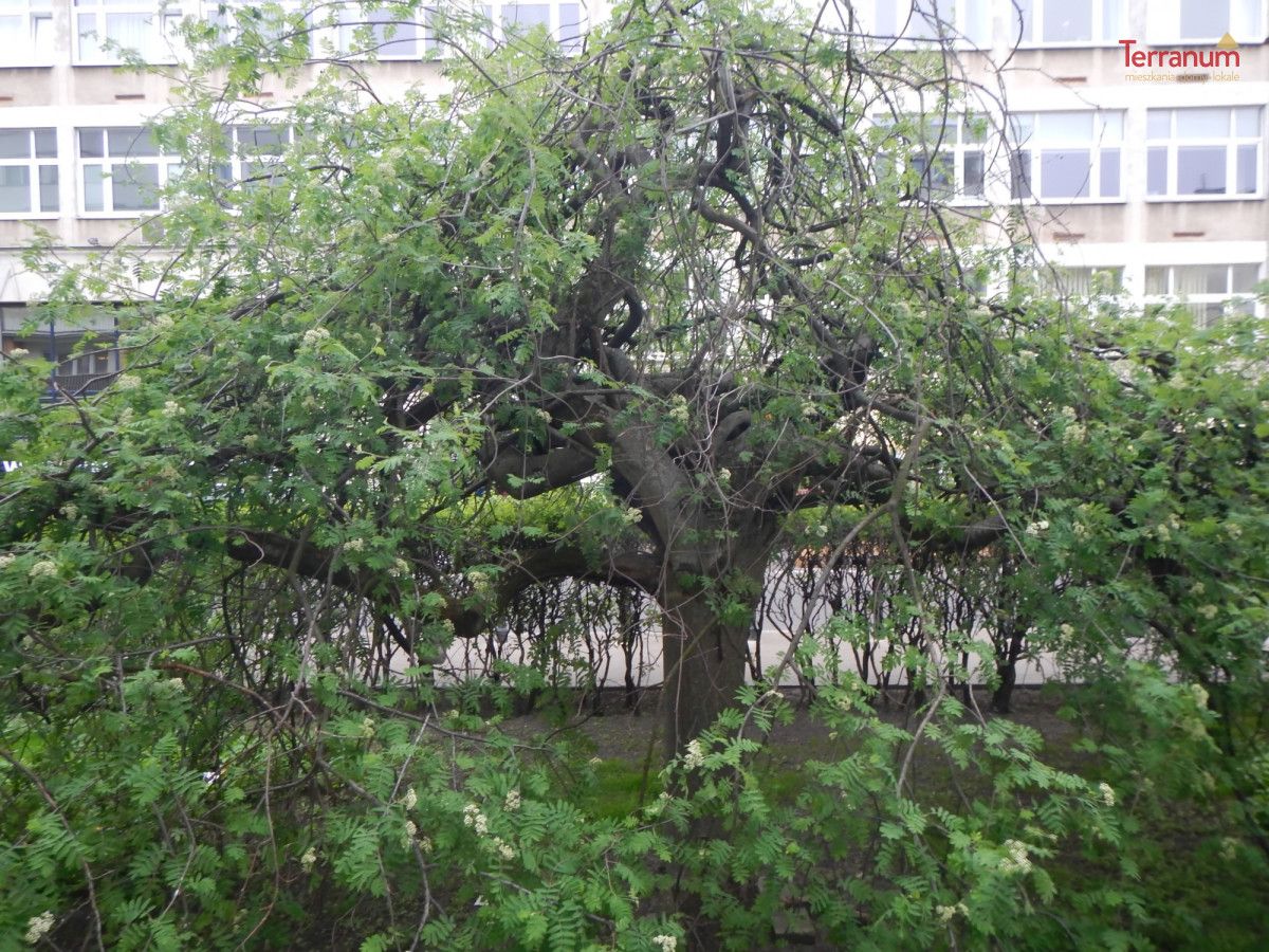 Mieszkanie 2-pokojowe Warszawa Śródmieście, ul. Świętojerska. Zdjęcie 17