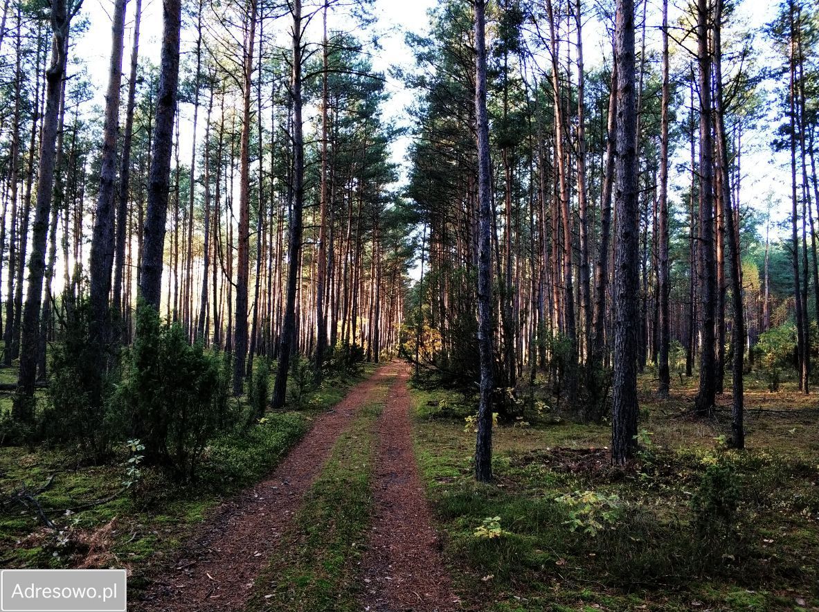 Działka budowlana Osęczyzna. Zdjęcie 8