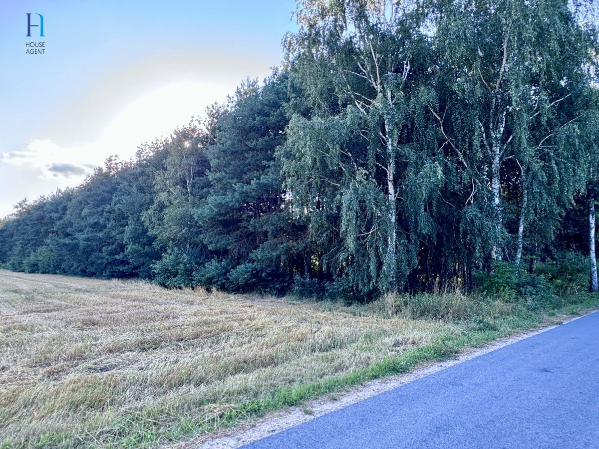 Działka budowlana Dzierżązna, ul. Zagajnikowa. Zdjęcie 20