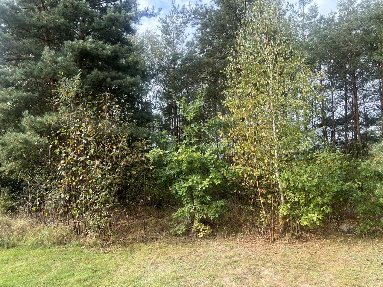 Działka budowlana Stanisławów. Zdjęcie 3