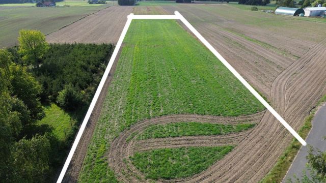 Działka rolno-budowlana Skarlin. Zdjęcie 1