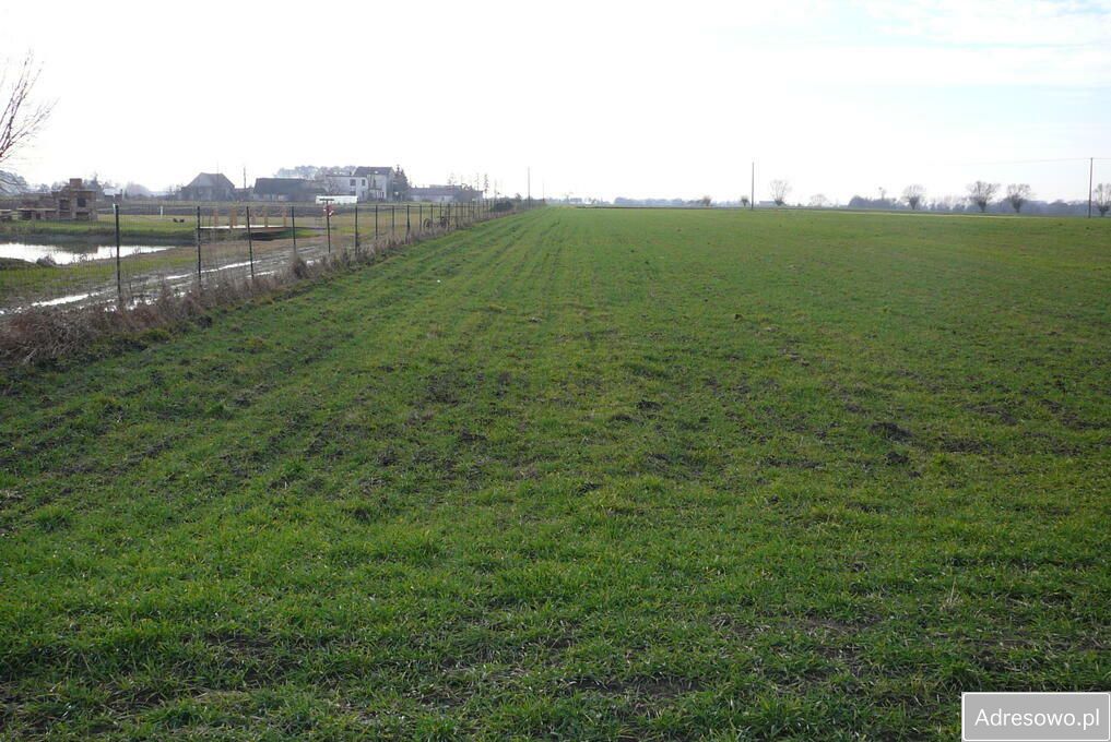 Działka budowlana Grzebienisko