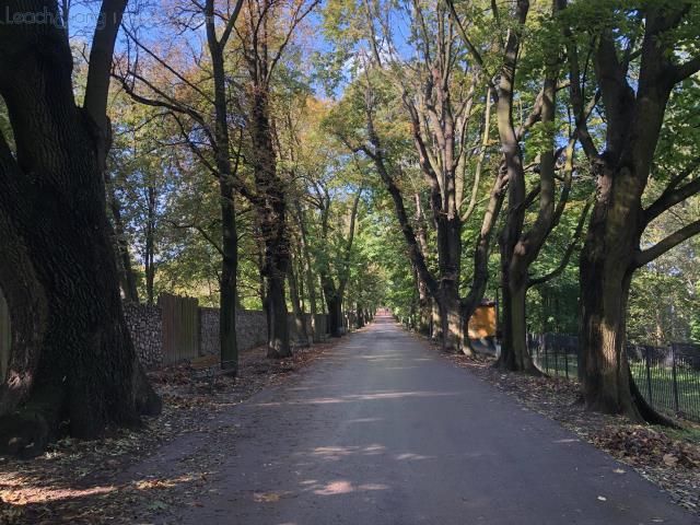 Działka budowlana Kraków Zwierzyniec, al. Jerzego Waszyngtona. Zdjęcie 1