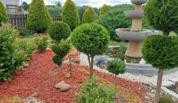 dom wolnostojący, 7 pokoi Niedrzwica Duża