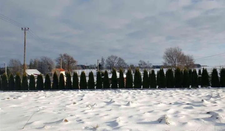 Działka budowlana Milejewo, ul. Lipowa