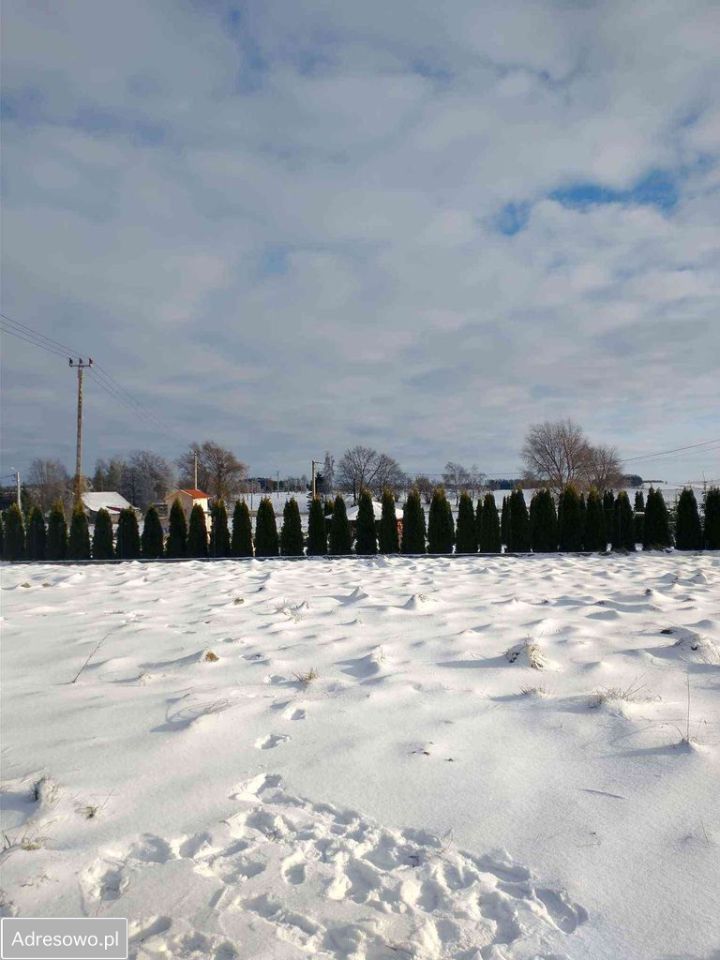 Działka budowlana Milejewo, ul. Lipowa. Zdjęcie 1