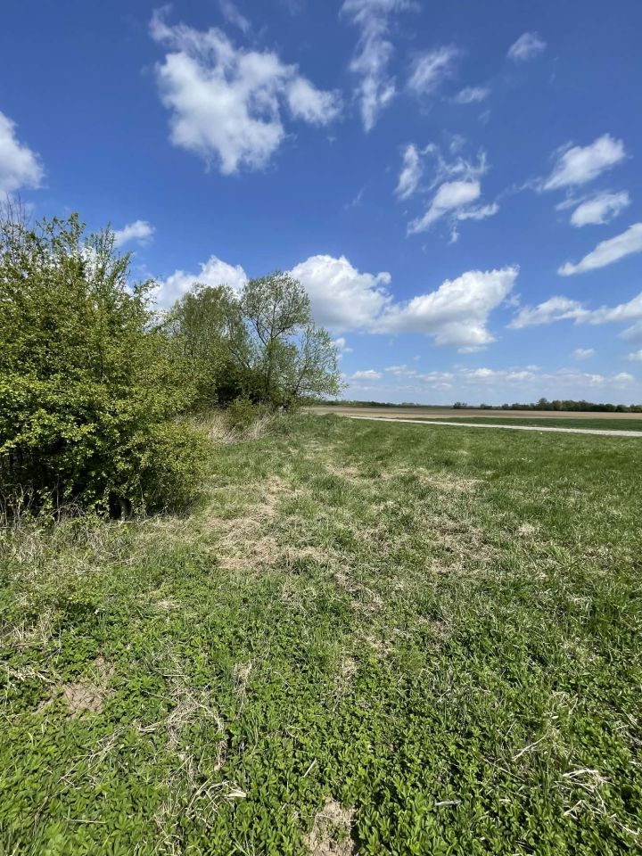 Działka siedliskowa Wyszatyce, wyszatyce. Zdjęcie 5