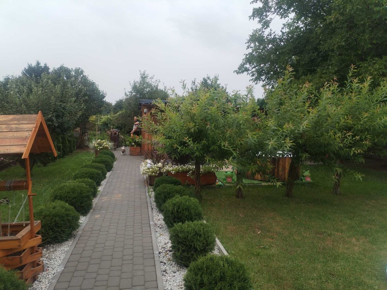 Działka rod Ciechanów. Zdjęcie 8