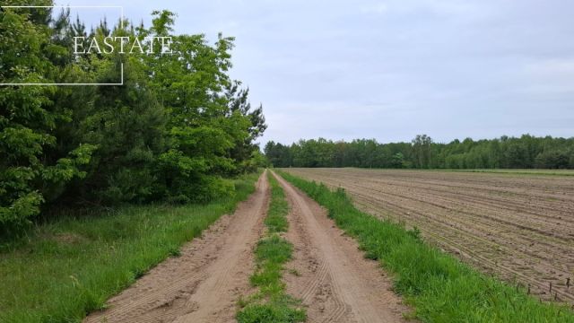 Działka inwestycyjna Myrcha. Zdjęcie 8