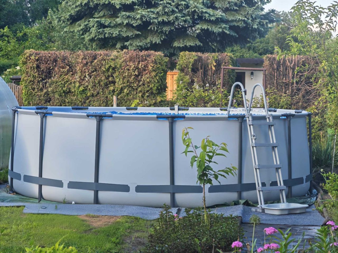 Działka rod Bytom. Zdjęcie 7