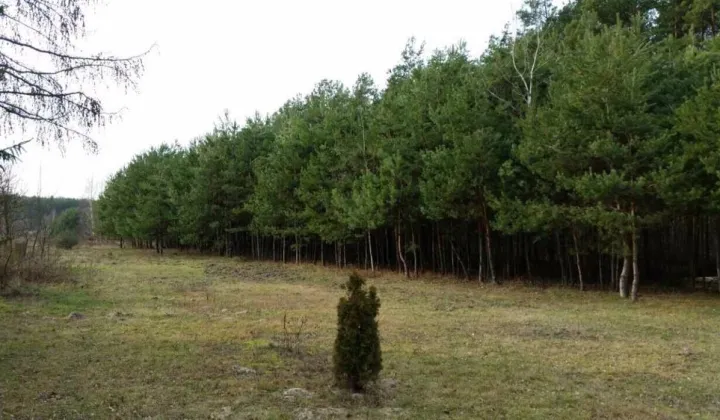 Działka budowlana Staszów