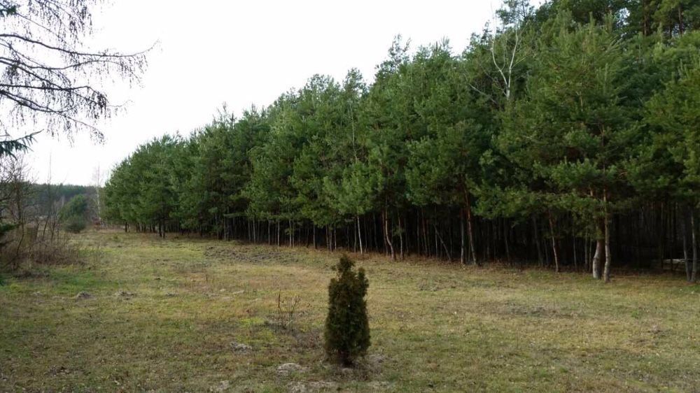 Działka budowlana Staszów. Zdjęcie 1