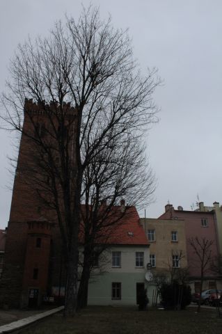 Mieszkanie 4-pokojowe Ząbkowice Śląskie, ul. św. Wojciecha. Zdjęcie 1