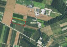 Działka inwestycyjna Zawichost, ul. Ostrowiecka