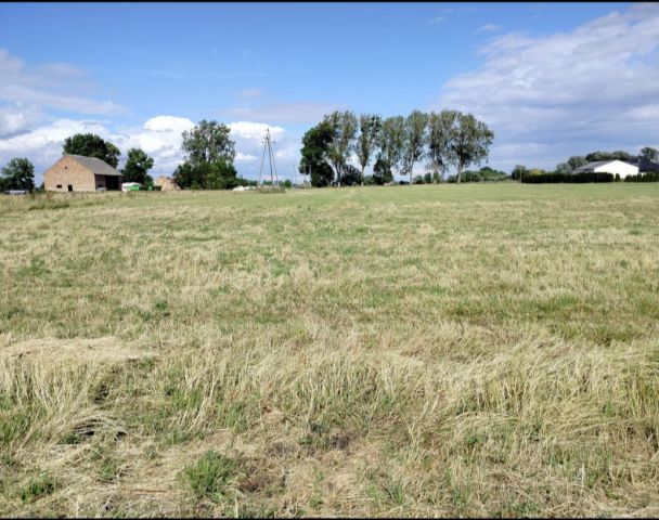 Działka rolna Głuchowo, ul. Lemierzycka. Zdjęcie 10