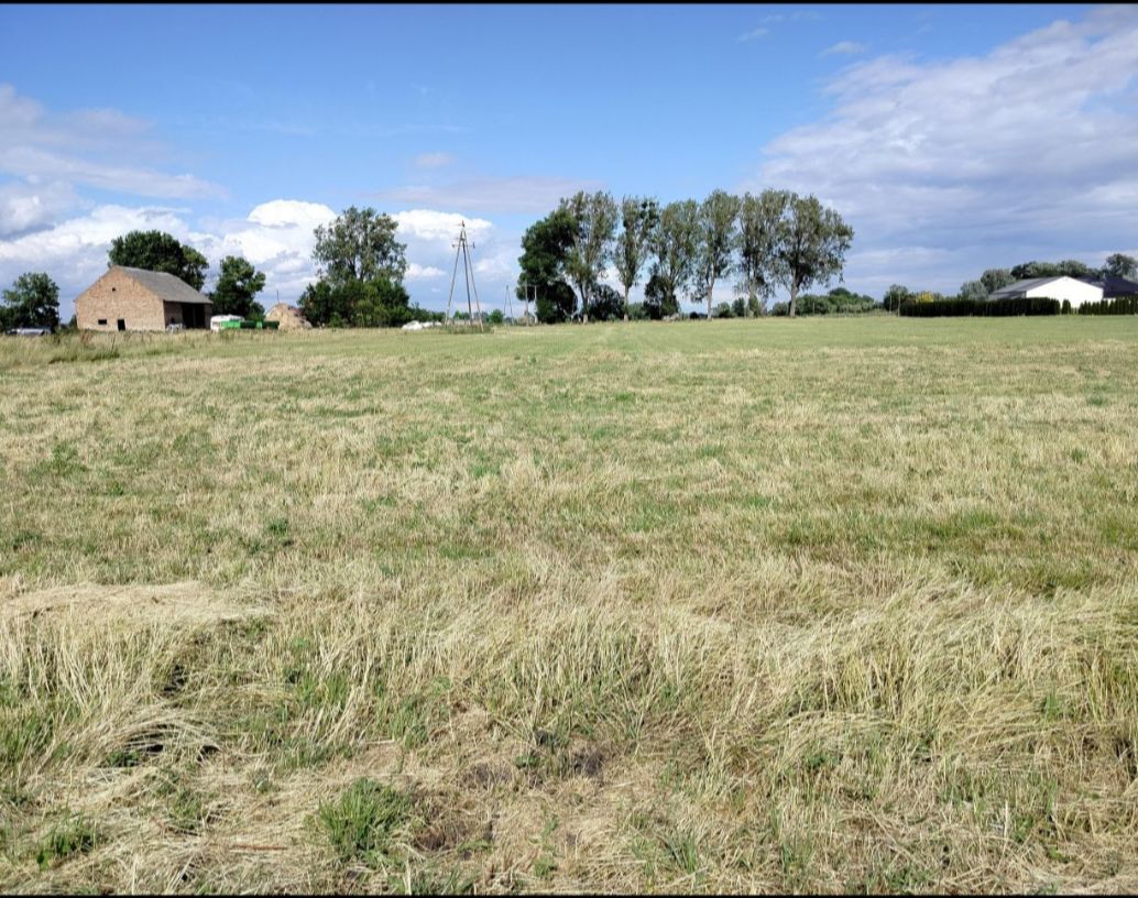 Działka rolna Głuchowo, ul. Lemierzycka. Zdjęcie 10