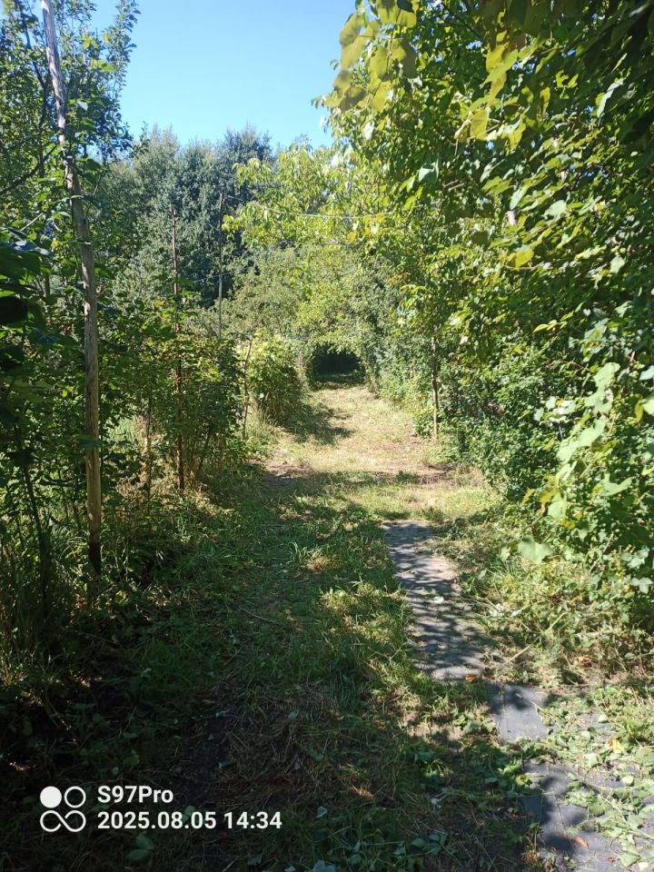 Działka rolno-budowlana Wola Rzędzińska. Zdjęcie 8