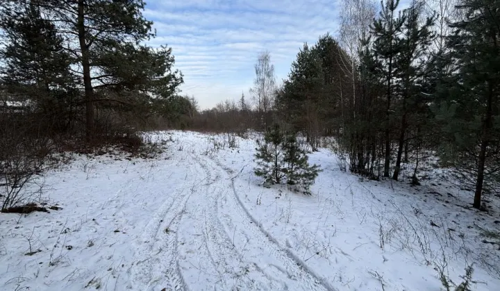 Działka rekreacyjna Suków Podmarzysz