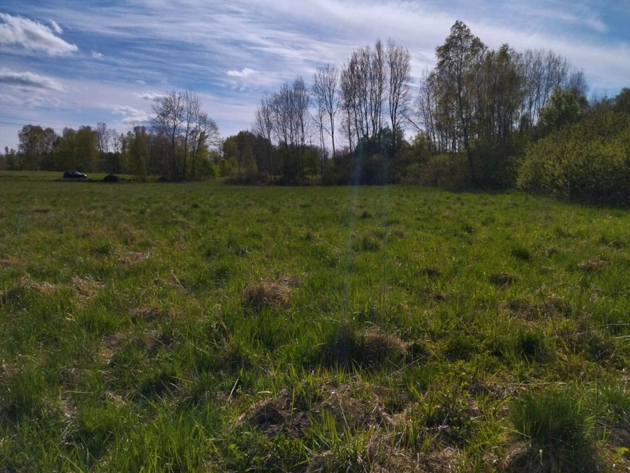 Działka budowlana Wielimowo. Zdjęcie 12