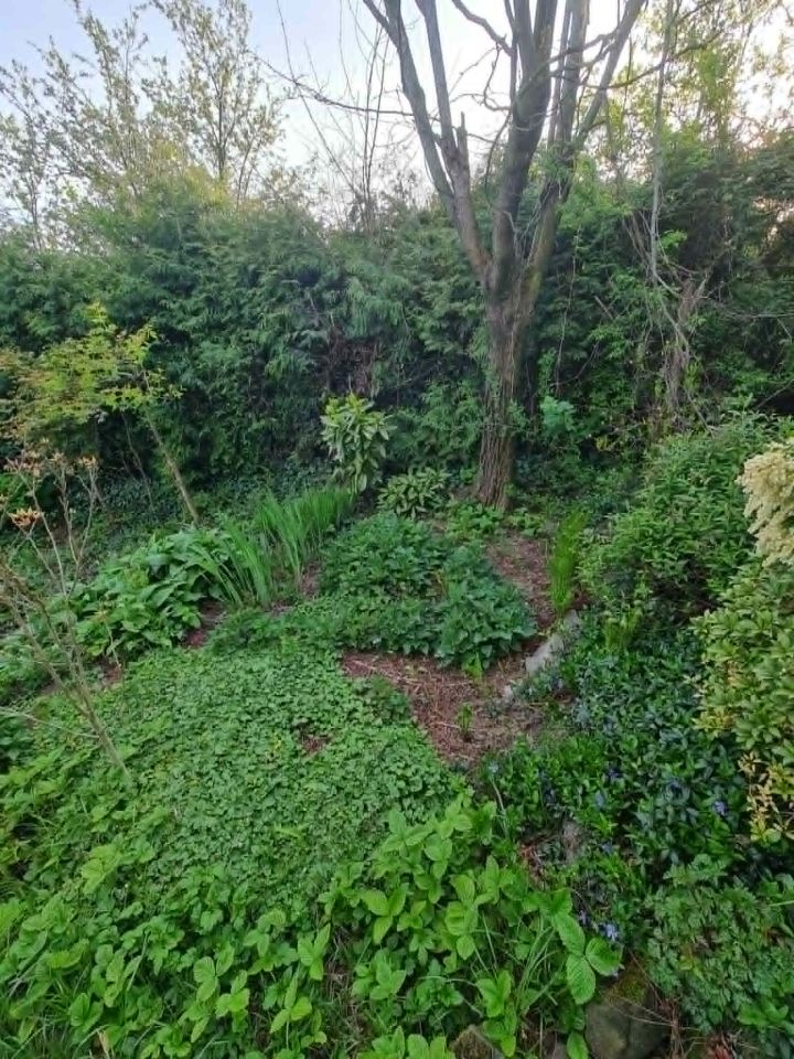 Działka rod Skoczów, Stalmacha. Zdjęcie 9