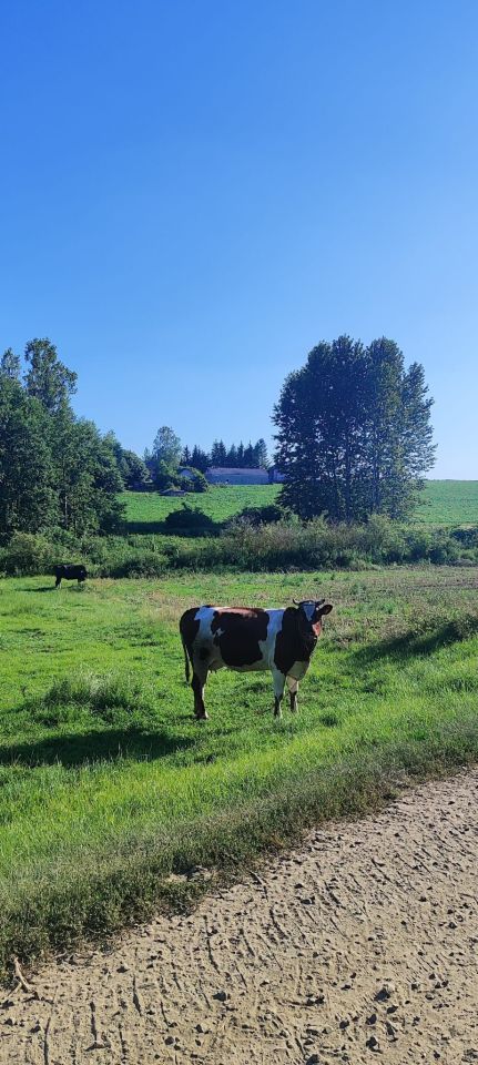 dom wolnostojący, 2 pokoje Hrebenne, Hrebenne. Zdjęcie 2
