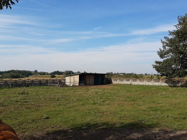 Działka rolno-budowlana Kąty. Zdjęcie 6