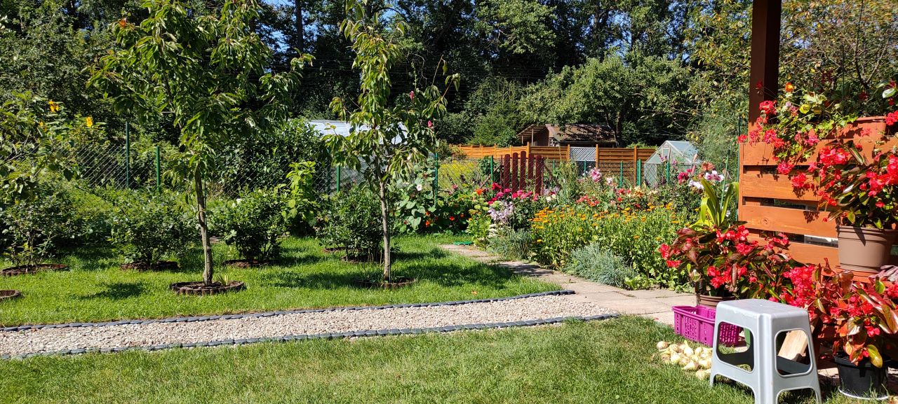 Działka rod Olecko, ul. Aleje Lipowe. Zdjęcie 6