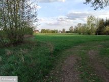 Działka rolno-budowlana Nagoszewka Pierwsza. Zdjęcie 4