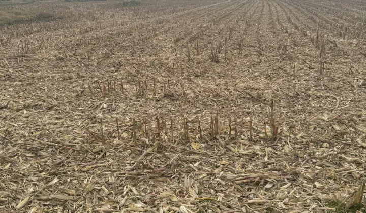 Działka budowlana Poręba Wielka, ul. Zachodnia
