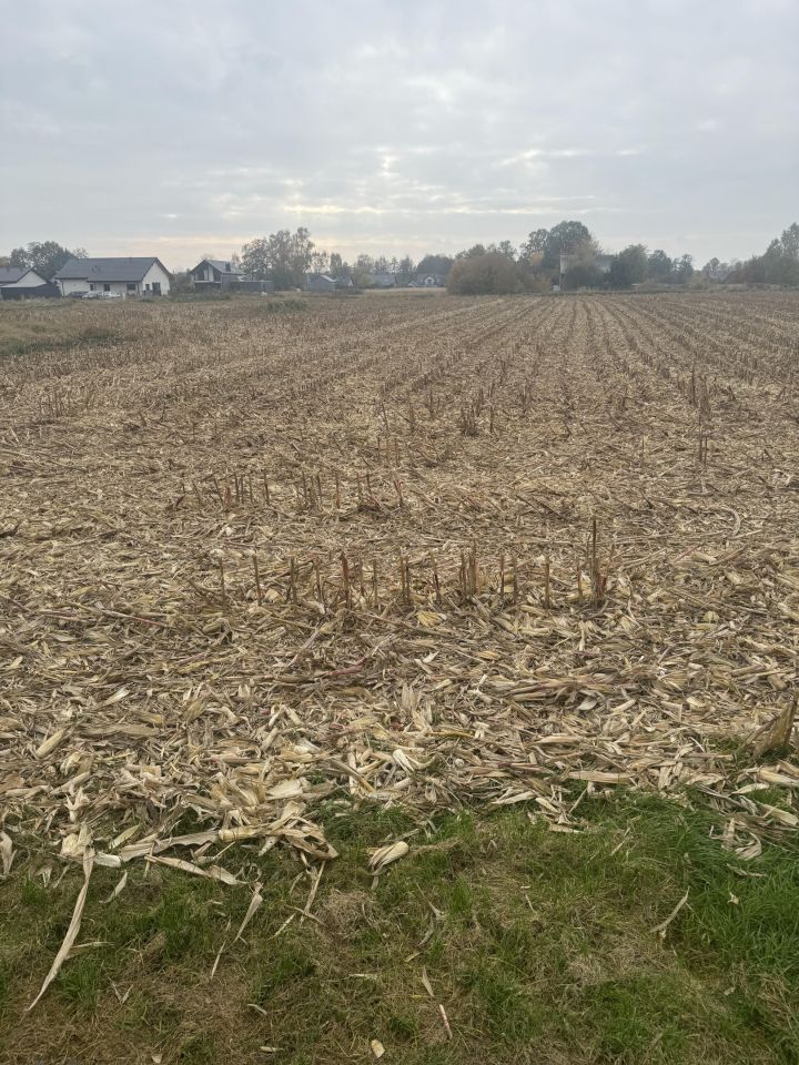 Działka budowlana Poręba Wielka, ul. Zachodnia
