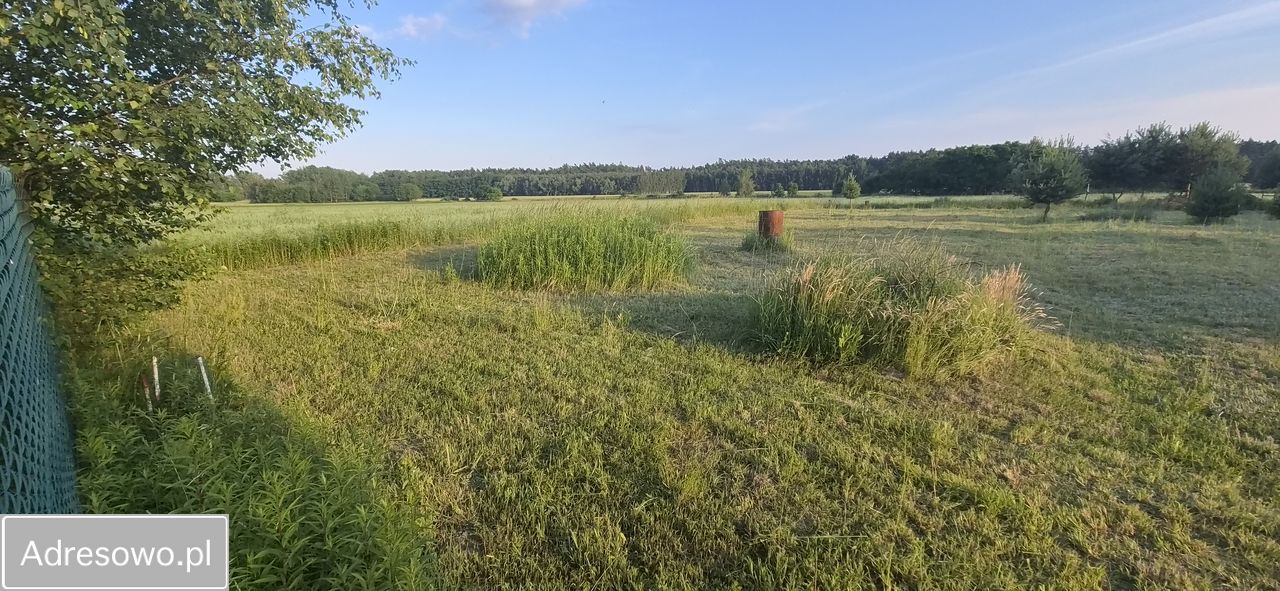 Działka budowlana Ciućkowo. Zdjęcie 6