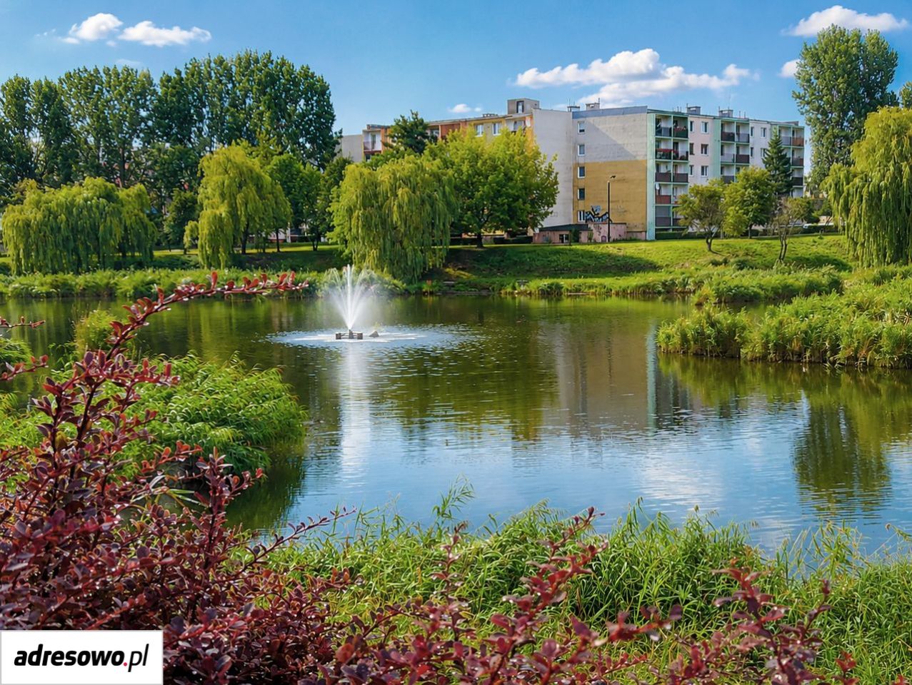 Mieszkanie 3-pokojowe Inowrocław Rąbin, al. Niepodległości. Zdjęcie 2