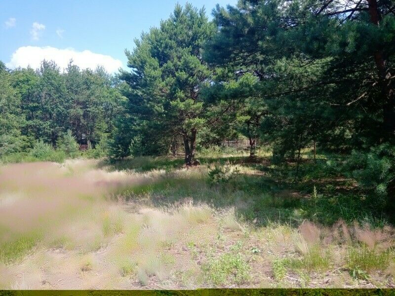 Działka budowlana Cieszanowice. Zdjęcie 4