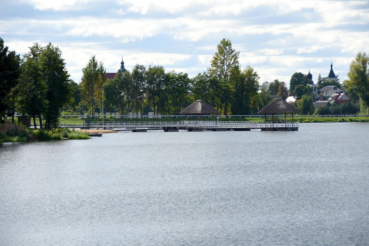 Działka leśna Turna Duża. Zdjęcie 48