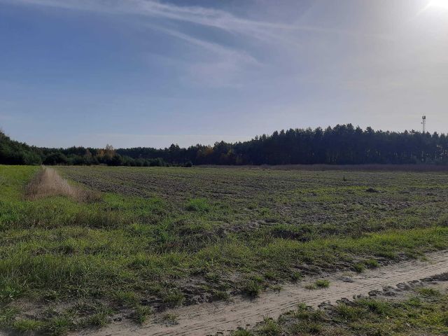 Działka rolna Kazanów. Zdjęcie 1