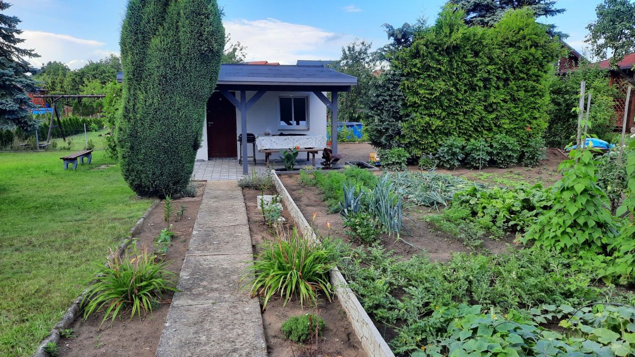 Działka rod Gryfino, ul. Armii Krajowej. Zdjęcie 5