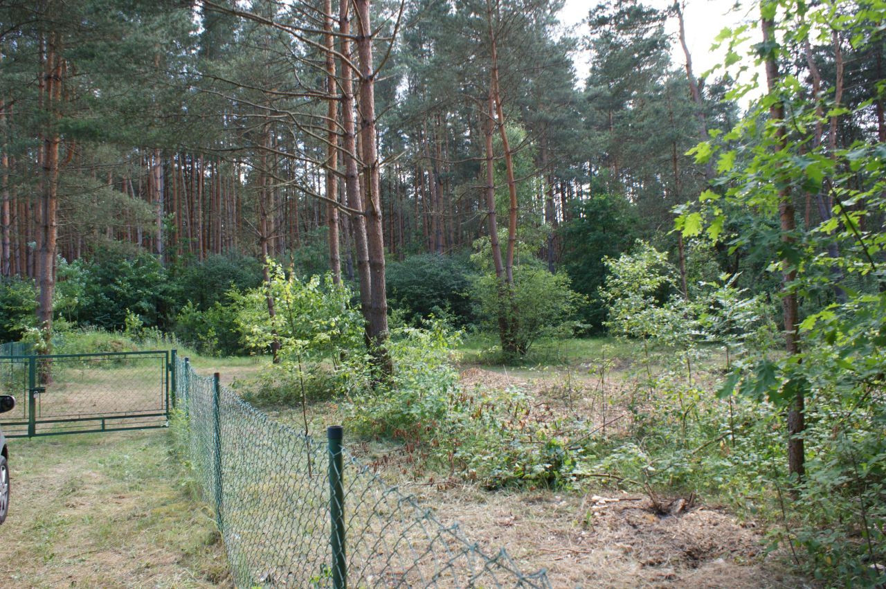 Działka rekreacyjna Czerwona Wola Myszkówka. Zdjęcie 28