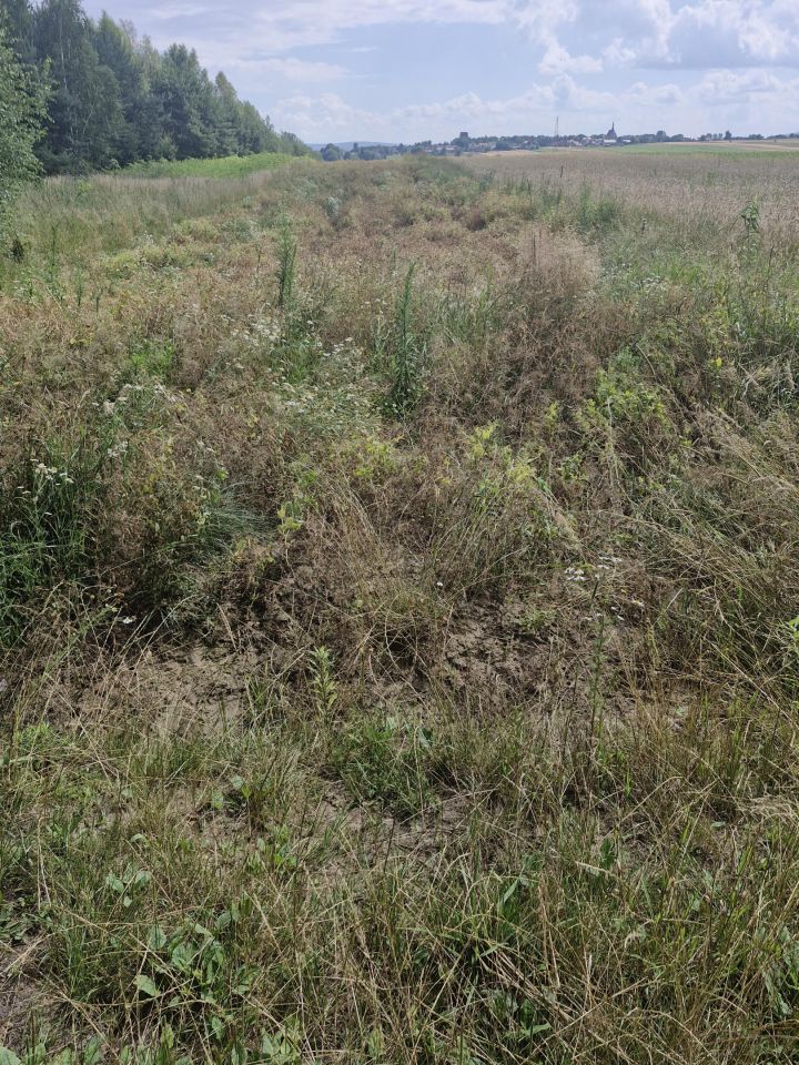 Działka rolna Godów. Zdjęcie 5