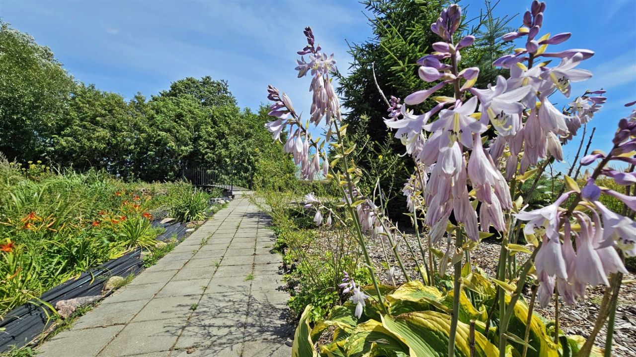 dom wolnostojący, 4 pokoje Grodzisko. Zdjęcie 23