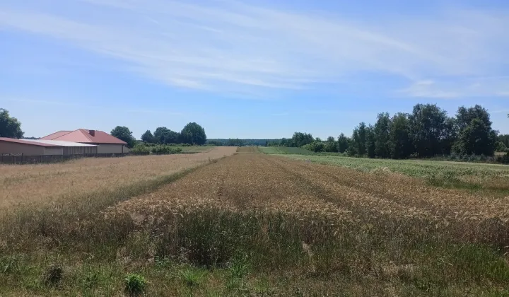 Działka rolno-budowlana Jasieniec Iłżecki Górny